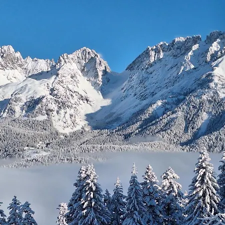 Appartement Unterhollenau Going am Wilden Kaiser Exterior foto